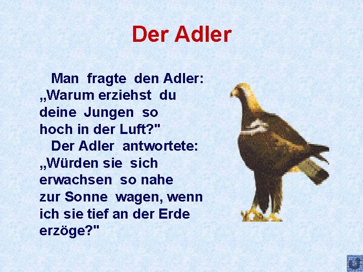 Der Adler Man fragte den Adler: „Warum erziehst du deine Jungen so hoch in