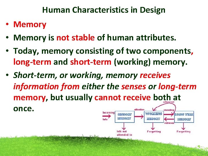 Human Characteristics in Design • Memory is not stable of human attributes. • Today,