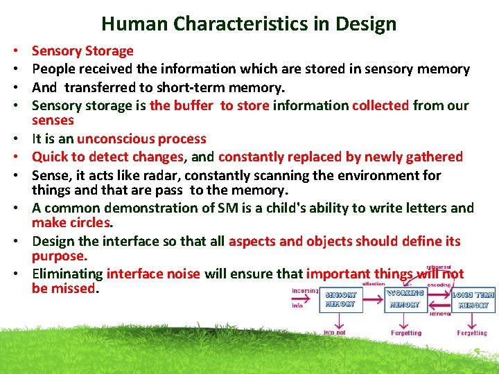 Human Characteristics in Design • • • Sensory Storage People received the information which