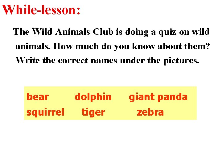 While-lesson: The Wild Animals Club is doing a quiz on wild animals. How much