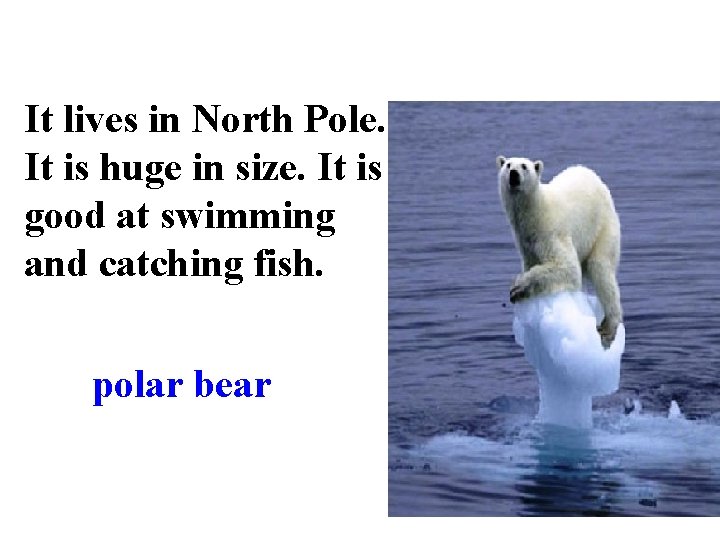 It lives in North Pole. It is huge in size. It is good at
