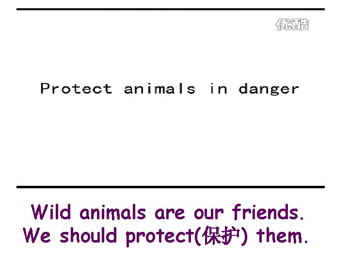 Wild animals are our friends. We should protect(保护) them. 