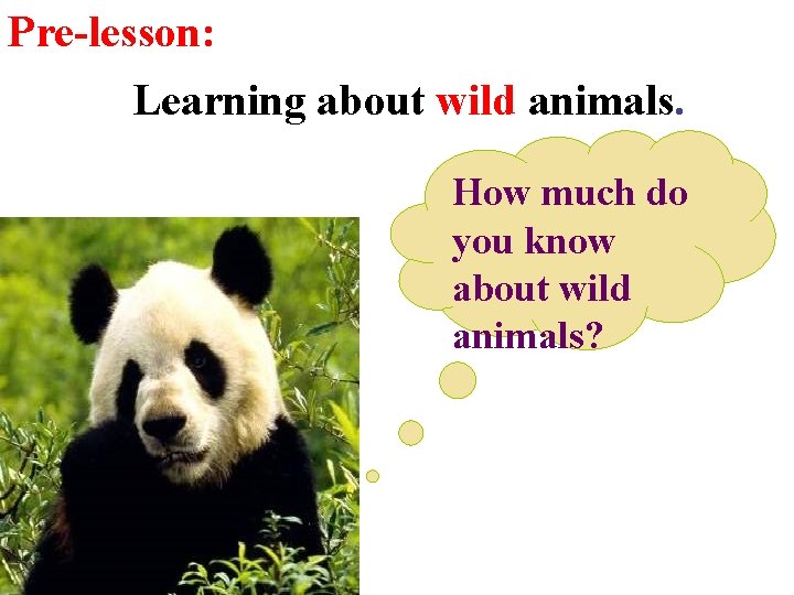 Pre-lesson: Learning about wild animals. How much do you know about wild animals? 