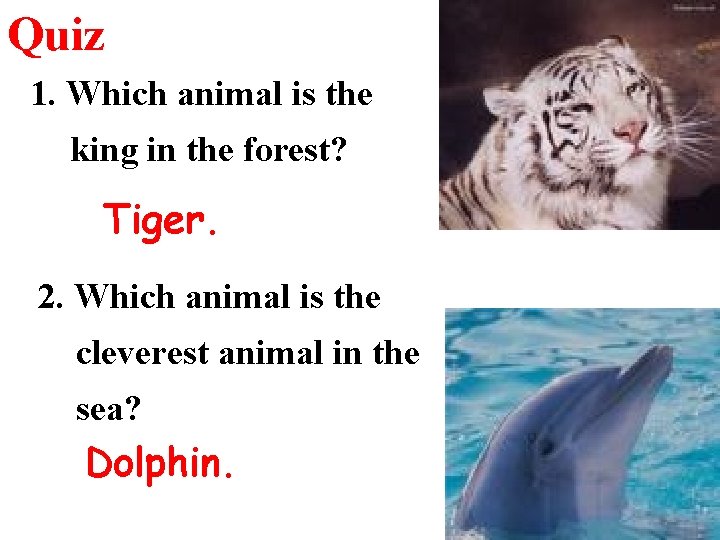 Quiz 1. Which animal is the king in the forest? Tiger. 2. Which animal