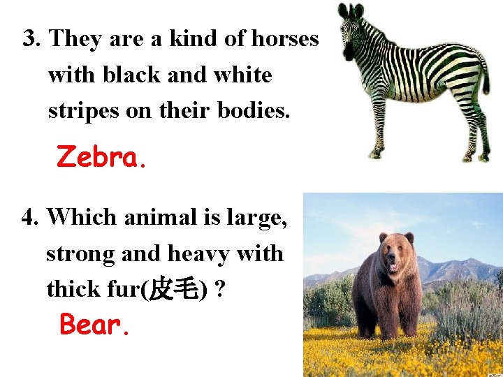 3. They are a kind of horses with black and white stripes on their