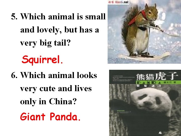 5. Which animal is small and lovely, but has a very big tail? Squirrel.