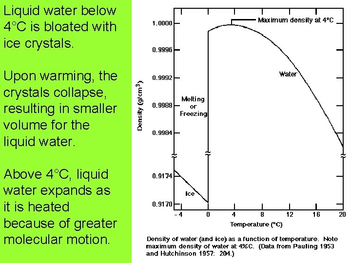 Liquid water below 4°C is bloated with ice crystals. Upon warming, the crystals collapse,