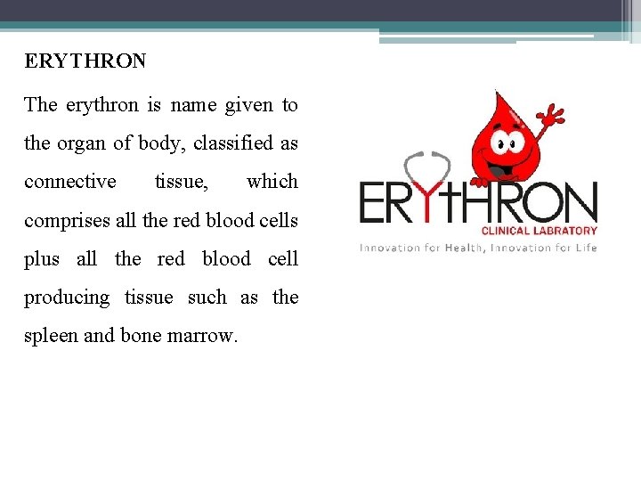 ERYTHRON The erythron is name given to the organ of body, classified as connective