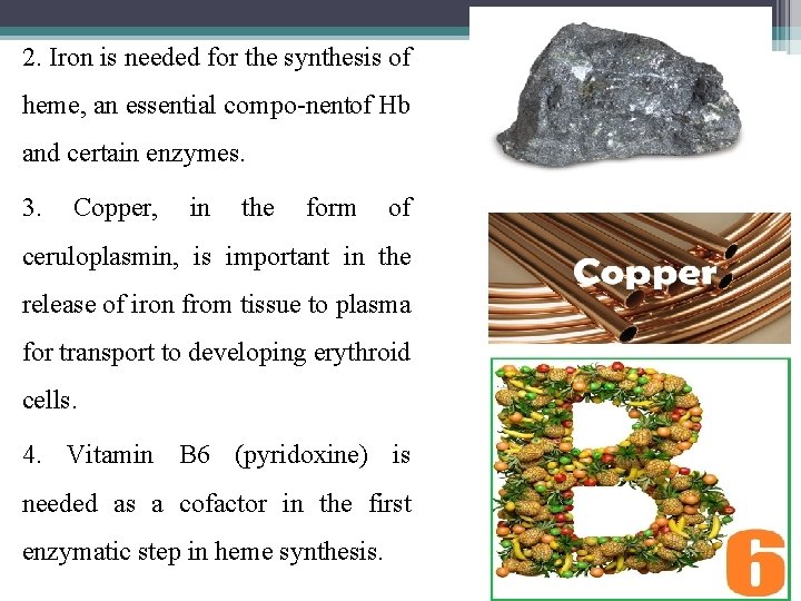 2. Iron is needed for the synthesis of heme, an essential compo nentof Hb