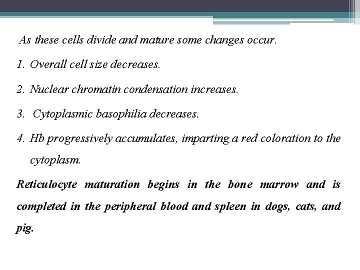 As these cells divide and mature some changes occur. 1. Overall cell size decreases.