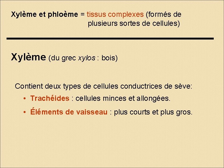 Xylème et phloème = tissus complexes (formés de plusieurs sortes de cellules) Xylème (du Xylème et phloème = tissus complexes (formés de plusieurs sortes de cellules) Xylème (du