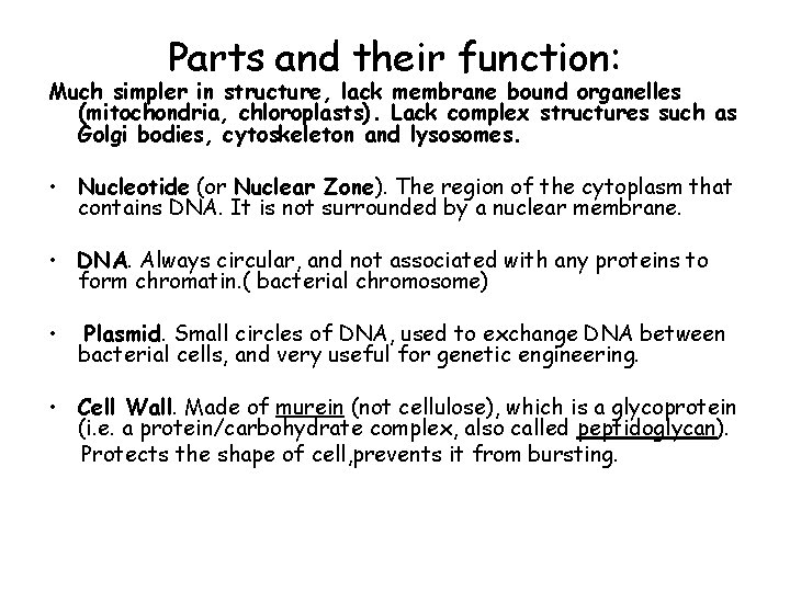 Parts and their function: Much simpler in structure, lack membrane bound organelles (mitochondria, chloroplasts).