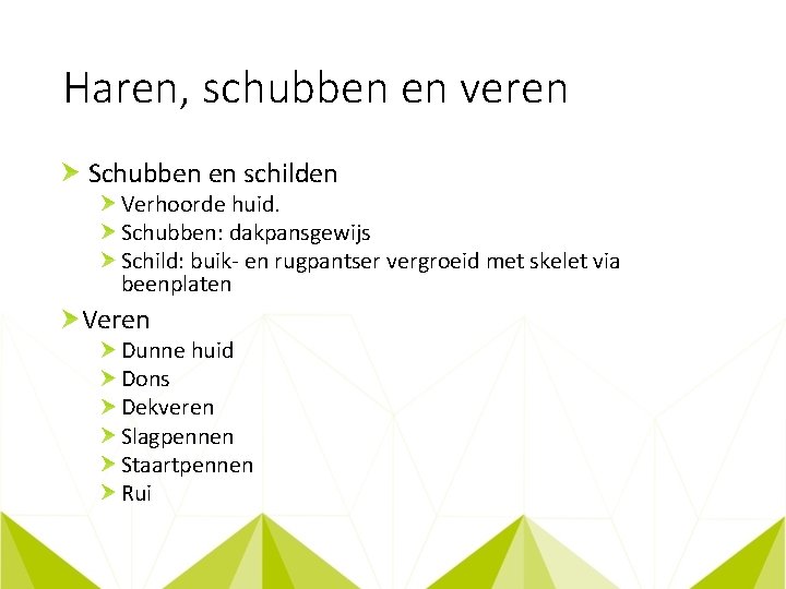 Haren, schubben en veren Schubben en schilden Verhoorde huid. Schubben: dakpansgewijs Schild: buik- en