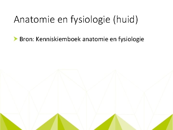 Anatomie en fysiologie (huid) Bron: Kenniskiemboek anatomie en fysiologie 