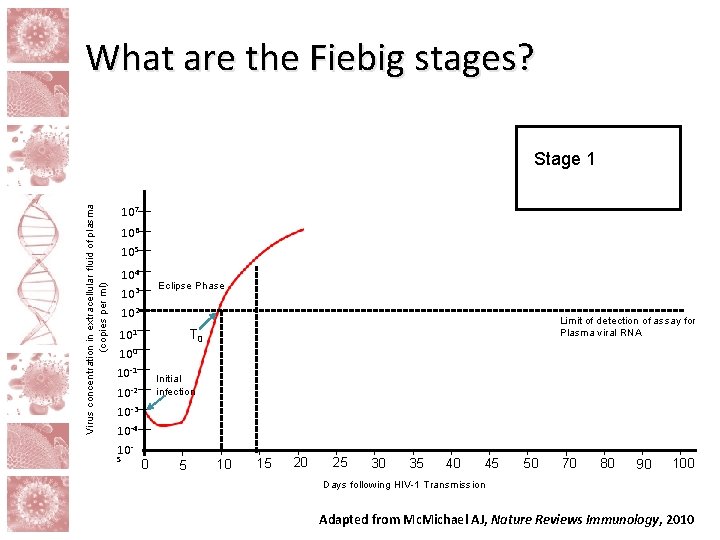What are the Fiebig stages? Virus concentration in extracellular fluid of plasma (copies per