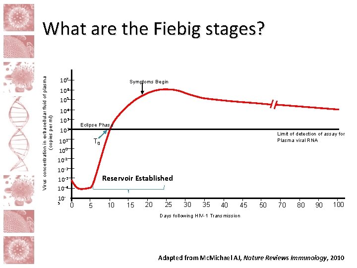 Virus concentration in extracellular fluid of plasma (copies per ml) What are the Fiebig