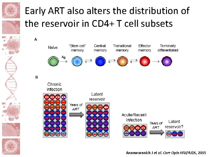 Early ART also alters the distribution of the reservoir in CD 4+ T cell