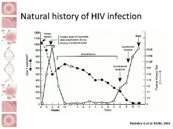 Natural history of HIV infection Pantaleo G et al. NEJM, 1993 