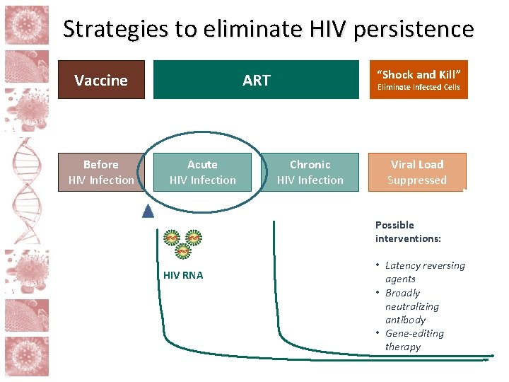 Strategies to eliminate HIV persistence Vaccine Before HIV Infection “Shock and Kill” ART Acute