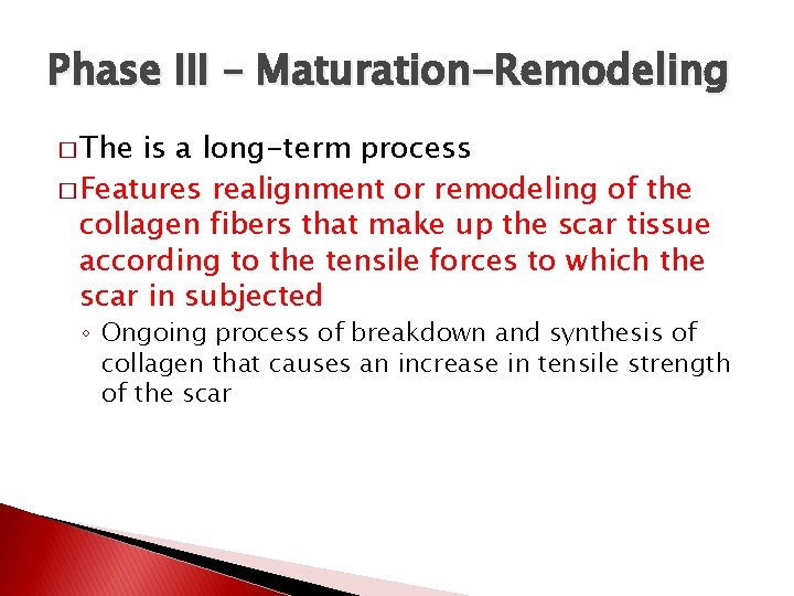 Phase III – Maturation-Remodeling � The is a long-term process � Features realignment or