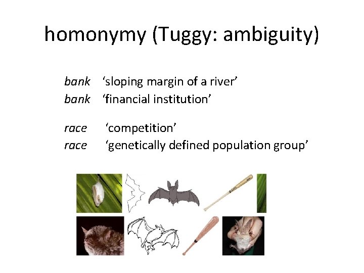 homonymy (Tuggy: ambiguity) bank ‘sloping margin of a river’ bank ‘financial institution’ race ‘competition’