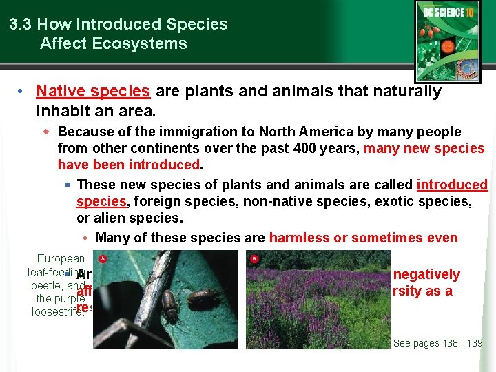 3. 3 How Introduced Species Affect Ecosystems • Native species are plants and animals