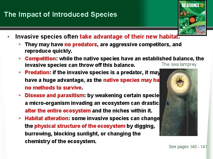 The Impact of Introduced Species • Invasive species often take advantage of their new