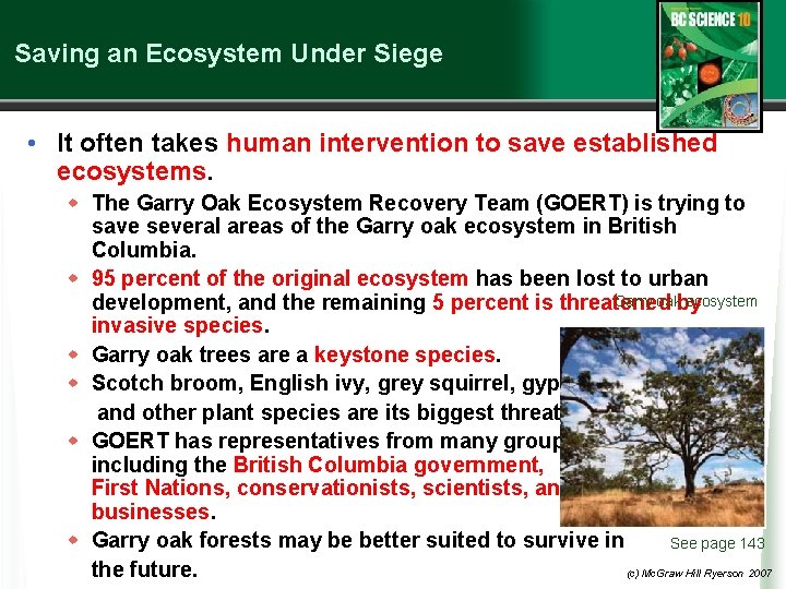 Saving an Ecosystem Under Siege • It often takes human intervention to save established