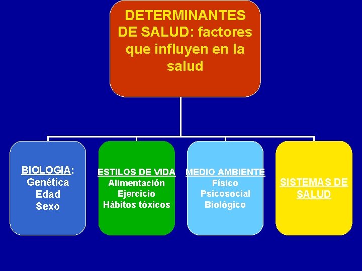 DETERMINANTES DE SALUD: factores DETERMINANTES que influyen DE SALUD en la salud BIOLOGIA: Genética