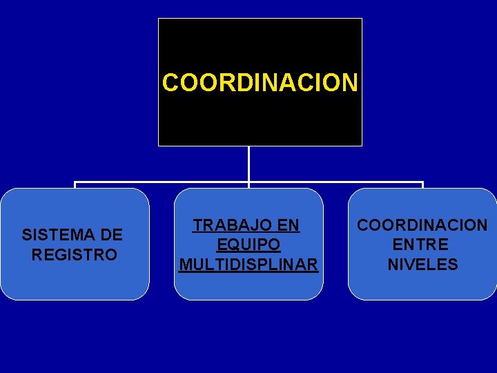 COORDINACION SISTEMA DE REGISTRO TRABAJO EN EQUIPO MULTIDISPLINAR COORDINACION ENTRE NIVELES 