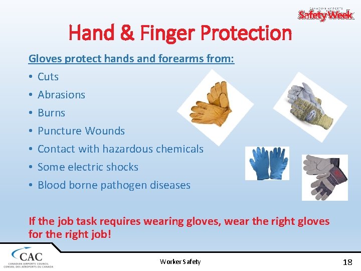 Hand & Finger Protection Gloves protect hands and forearms from: • Cuts • Abrasions