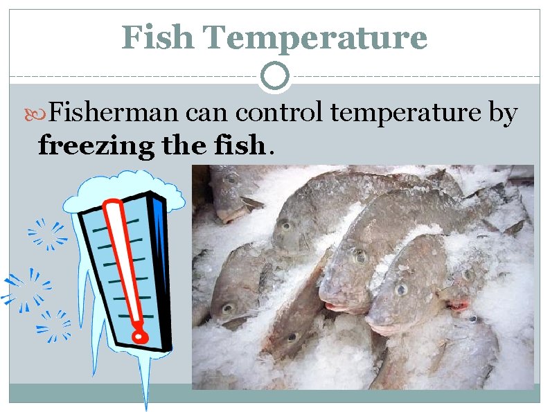 Fish Temperature Fisherman control temperature by freezing the fish. 