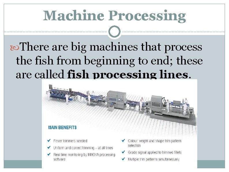 Machine Processing There are big machines that process the fish from beginning to end;