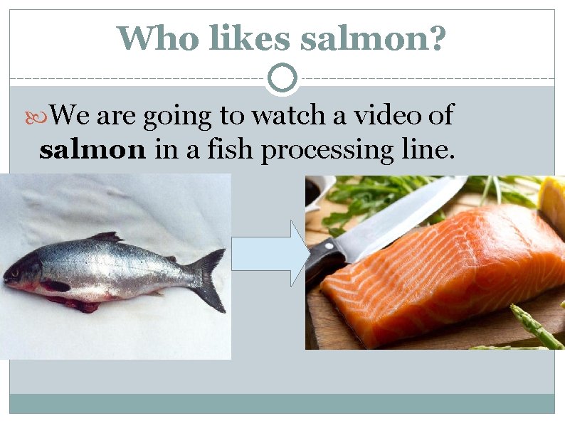 Who likes salmon? We are going to watch a video of salmon in a