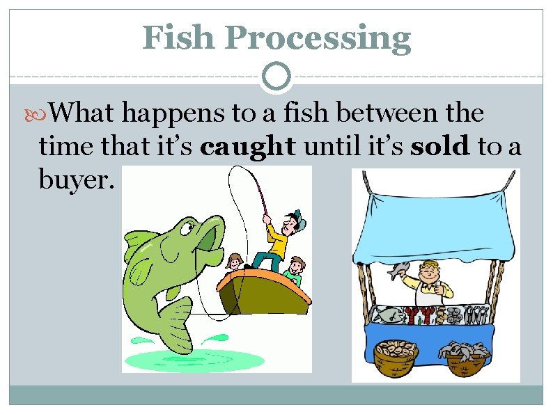 Fish Processing What happens to a fish between the time that it’s caught until