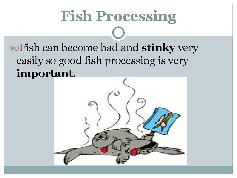 Fish Processing Fish can become bad and stinky very easily so good fish processing