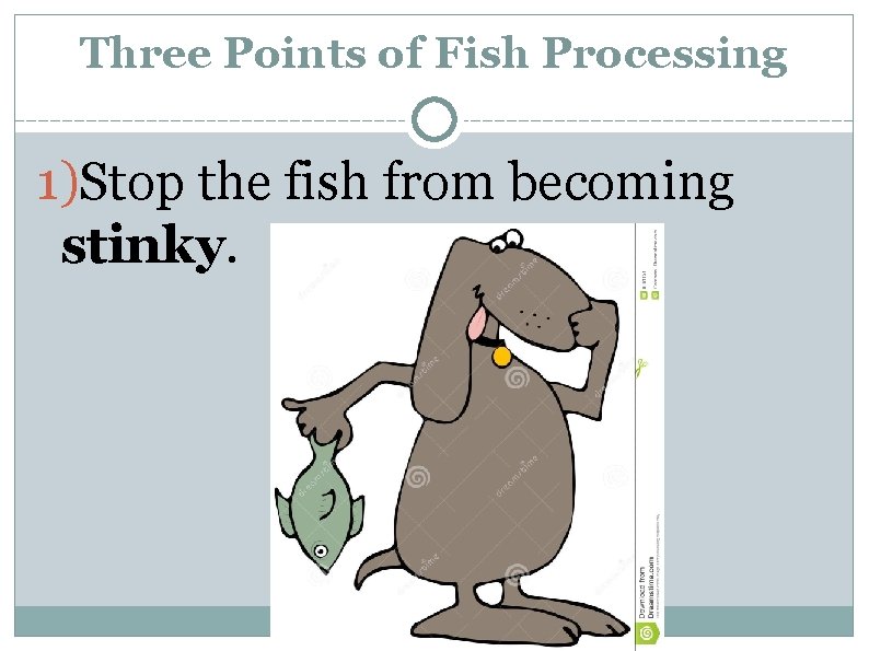 Three Points of Fish Processing 1)Stop the fish from becoming stinky. 