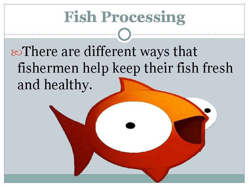 Fish Processing There are different ways that fishermen help keep their fish fresh and
