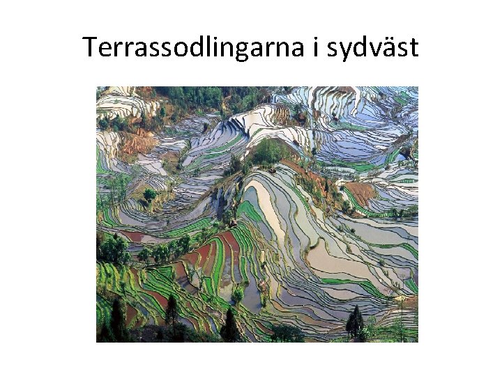 Terrassodlingarna i sydväst 