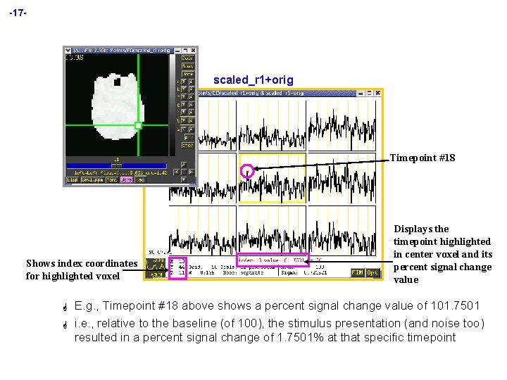 -17 - scaled_r 1+orig Timepoint #18 Shows index coordinates for highlighted voxel G G