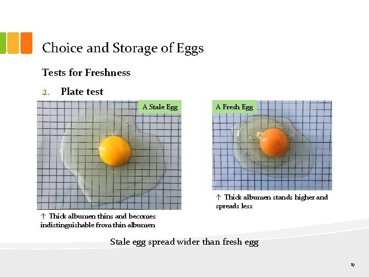 Choice and Storage of Eggs Tests for Freshness 2. Plate test A Stale Egg