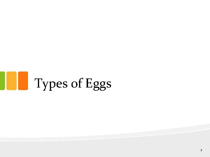 Types of Eggs 3 