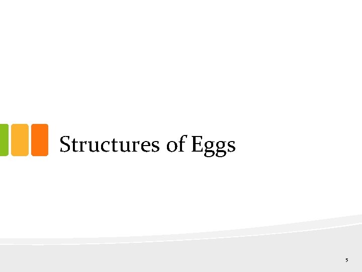 Structures of Eggs 5 