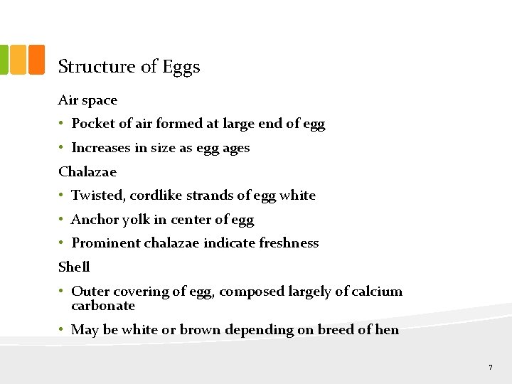 Structure of Eggs Air space • Pocket of air formed at large end of