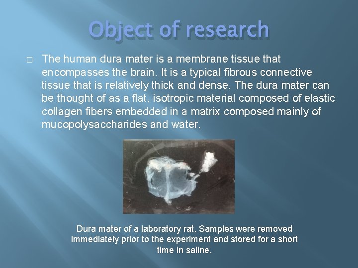 Object of research � The human dura mater is a membrane tissue that encompasses