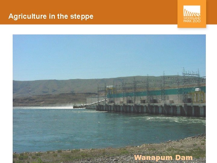 Agriculture in the steppe Wanapum Dam 