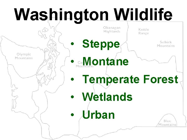 Washington Wildlife • Steppe • Montane • Temperate Forest • Wetlands • Urban 