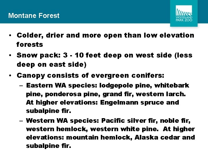 Montane Forest • Colder, drier and more open than low elevation forests • Snow