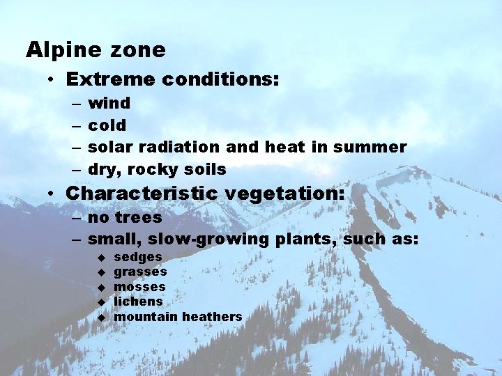 Alpine zone • Extreme conditions: – – wind cold solar radiation and heat in