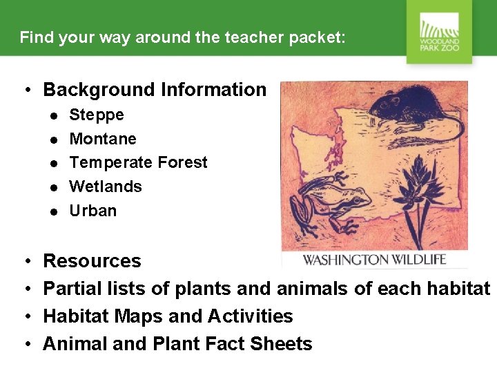 Find your way around the teacher packet: • Background Information l l l •